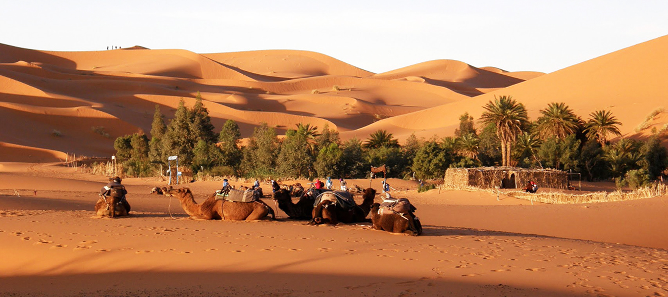 merzouga Oasis merzouga2